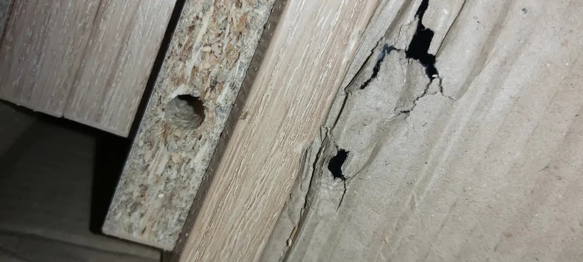 ATAN Pracovní stůl VIBER 1D1S sonoma levý B - II.jakost - náhled 2