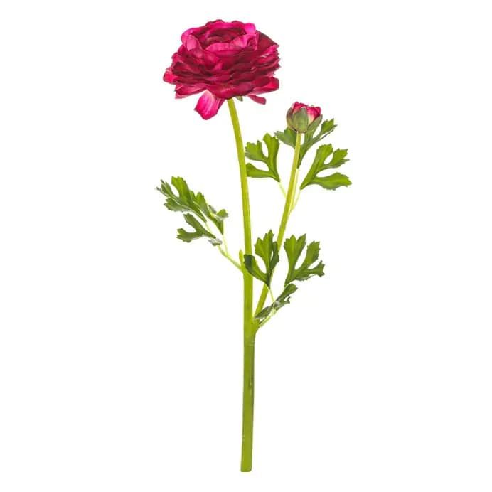 Autronic Ranunculus fialový UKR2004 PUR