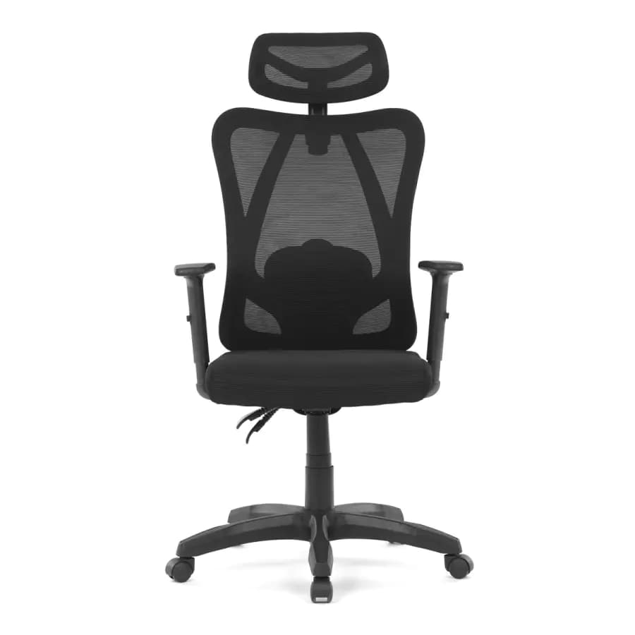Autronic Kancelářská židle KA-R215 BK - náhled 2