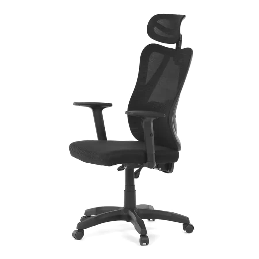 Autronic Kancelářská židle KA-R215 BK - náhled 4