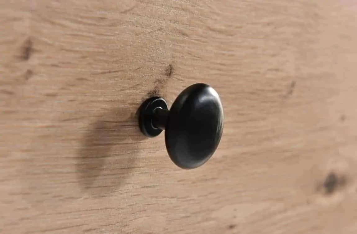 Casarredo Vitrína na nohách 2D2S BARBUS dub artisan/černá - náhled 4